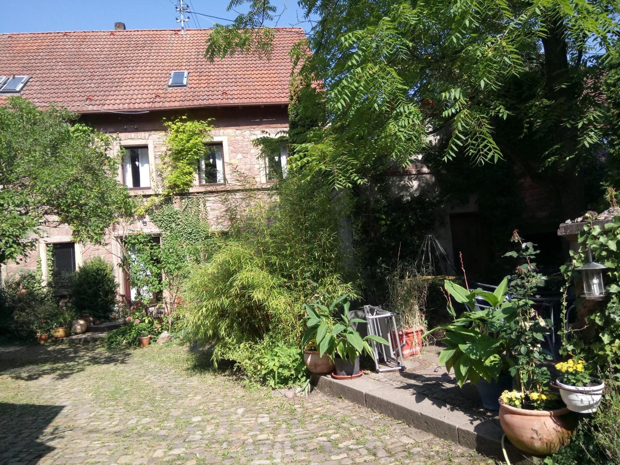 "El Patio" Am Donnersberg Apartman Dannenfels Kültér fotó