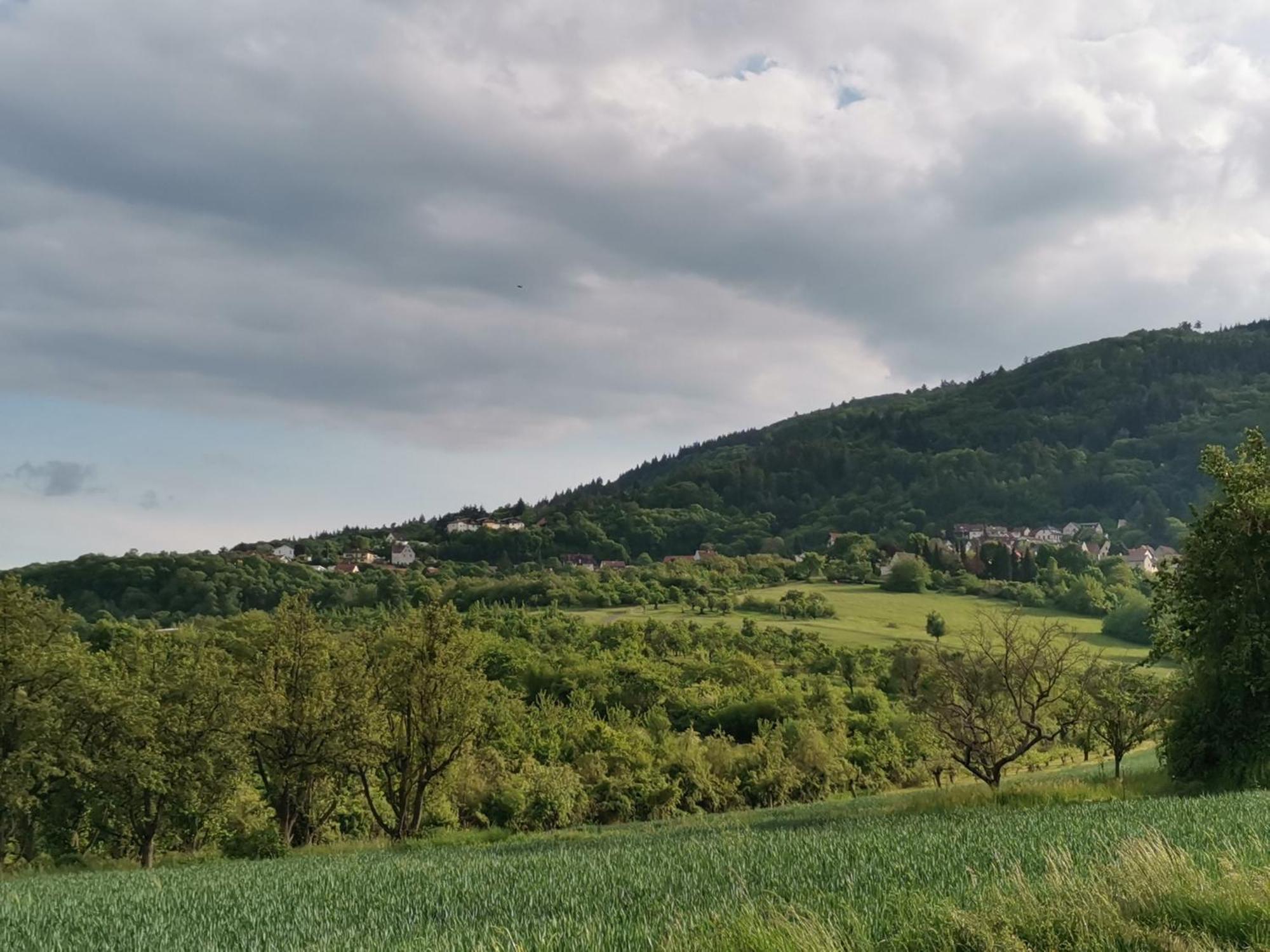 "El Patio" Am Donnersberg Apartman Dannenfels Kültér fotó