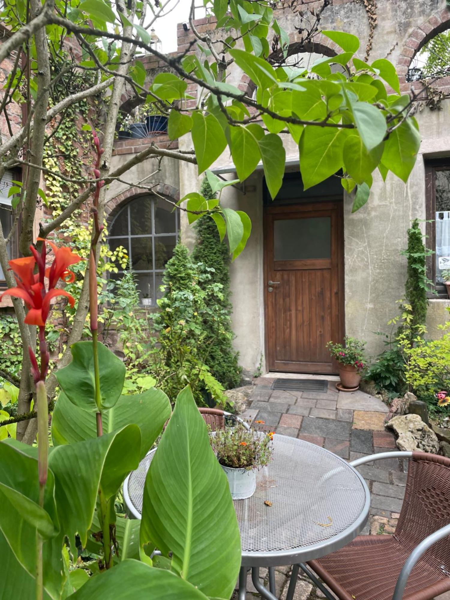 "El Patio" Am Donnersberg Apartman Dannenfels Kültér fotó